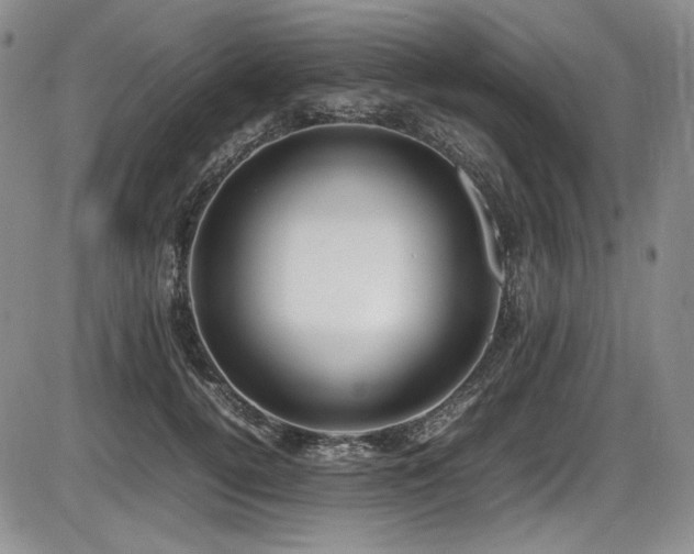 X0000086280752200703291501