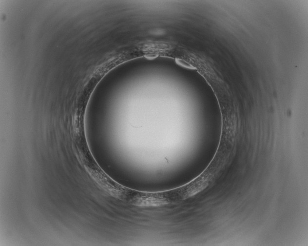 X0000086280755200703291501