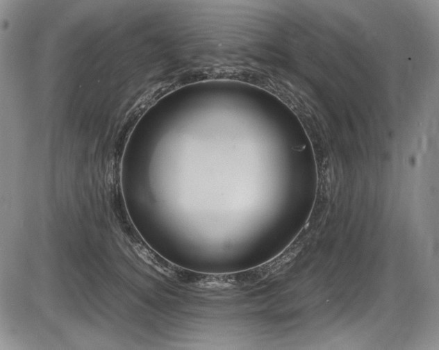 X0000086280756200703291501