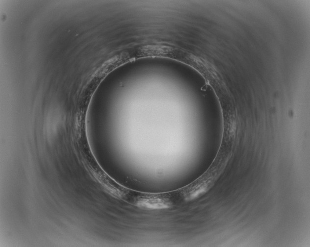 X0000086280759200703291501