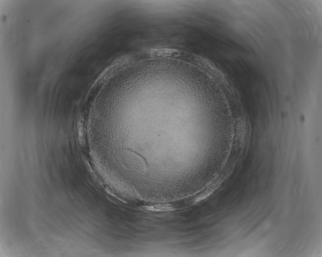 X0000086280761200703291501