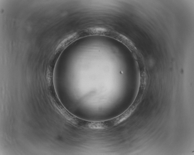 X0000086280762200703291501