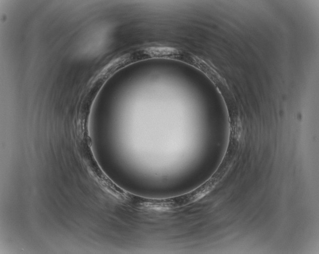 X0000086280763200703291501