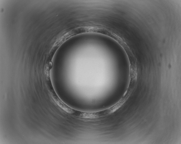 X0000086280766200703291501