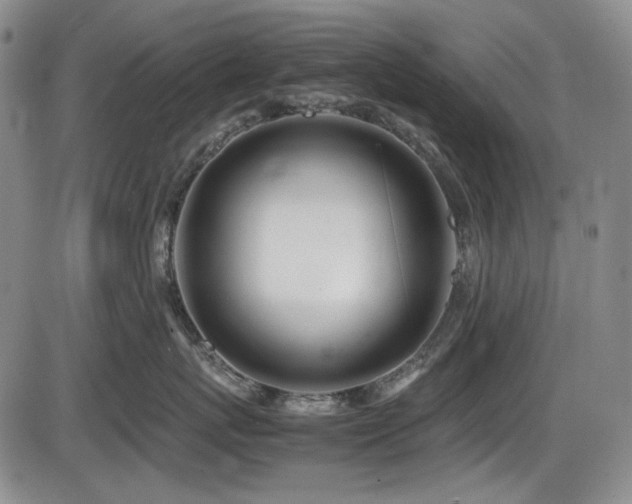 X0000086280767200703291501