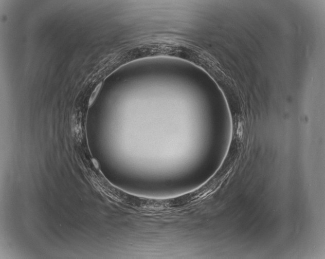 X0000086280771200703291500