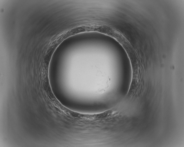 X0000086280773200703291500