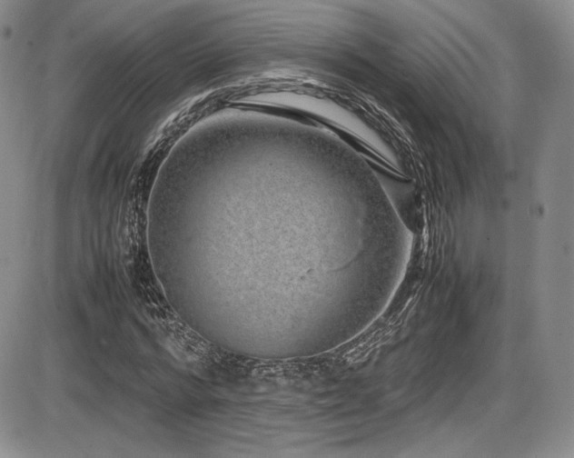 X0000086280776200703291500