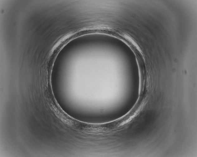 X0000086280781200703291500