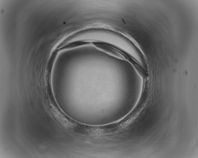 X0000086280783200703291500
