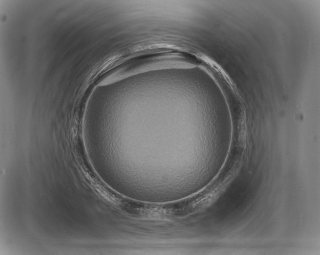 X0000086280785200703291500