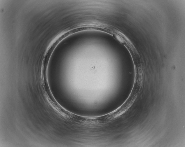 X0000086280788200703291500