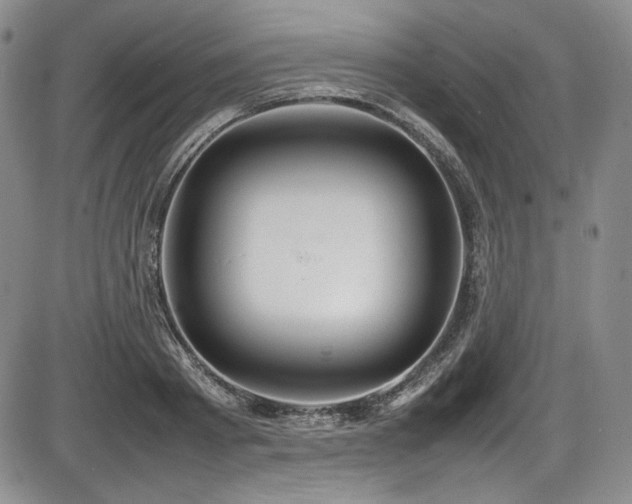 X0000086280793200703291500