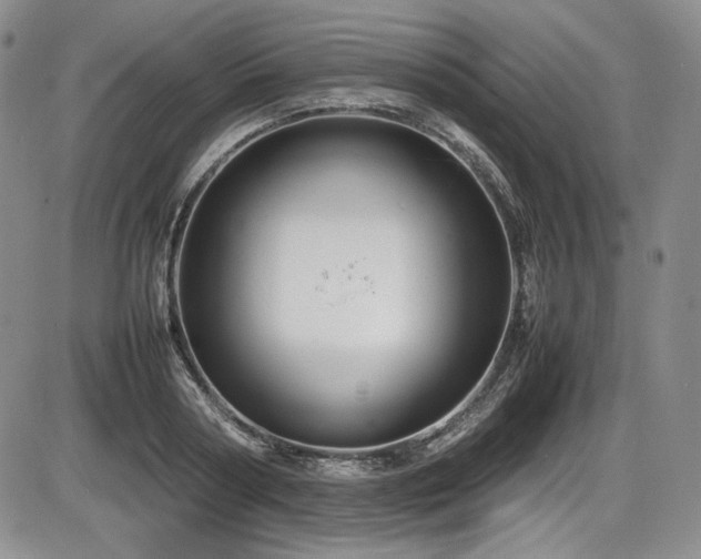 X0000086280794200703291500