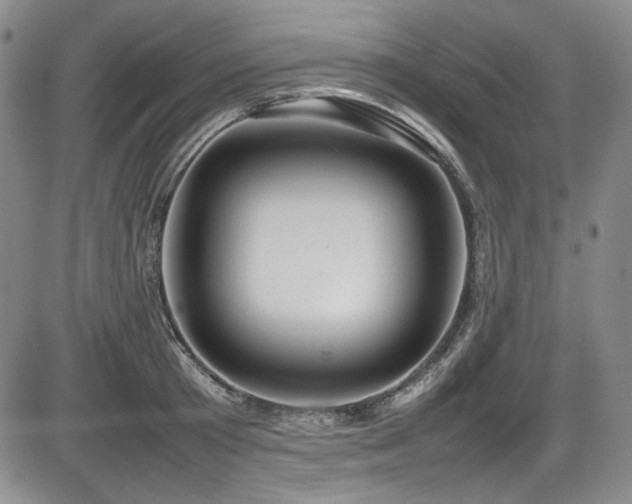 X0000086280801200703291500