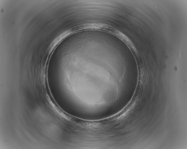 X0000086280802200703291500