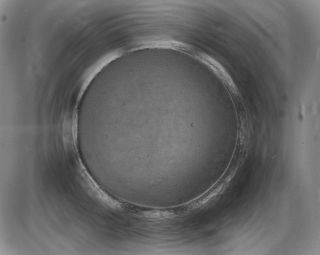 X0000086280804200703291500