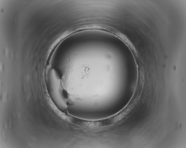 X0000086280805200703291500