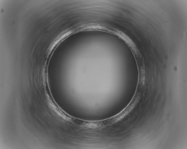 X0000086280806200703291500
