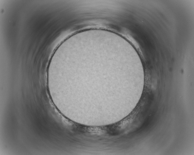 X0000086280807200703291500