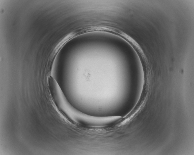 X0000086280809200703291459