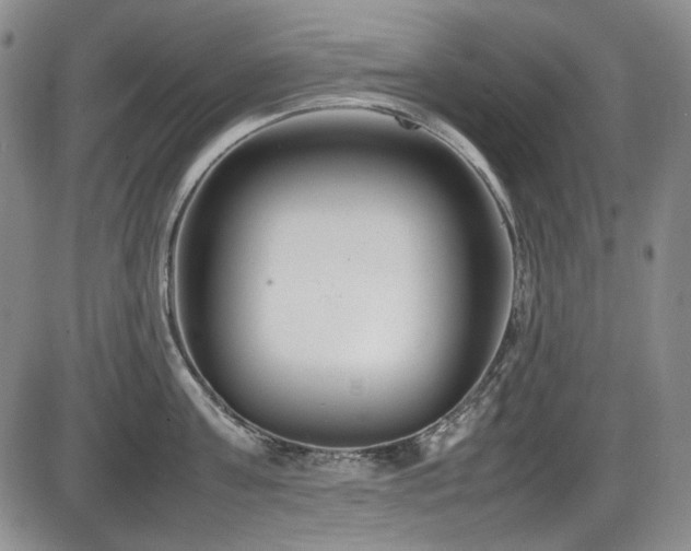 X0000086280811200703291459