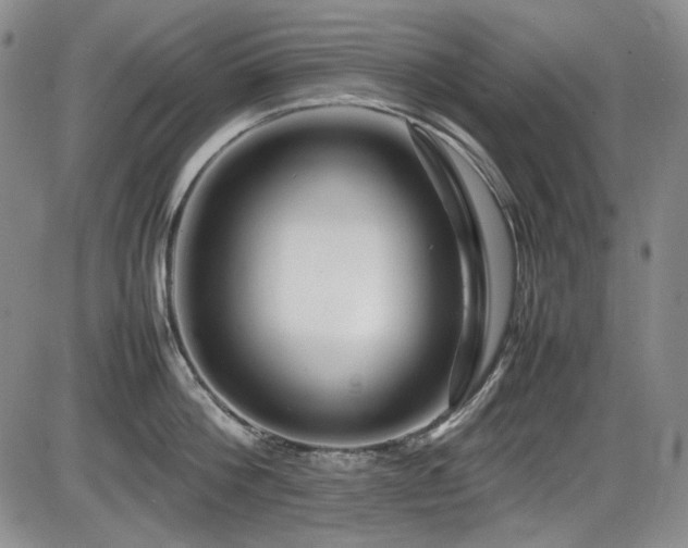 X0000086280812200703291459