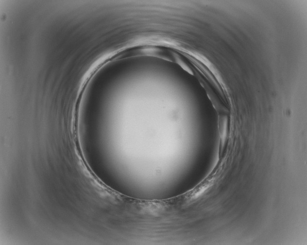 X0000086280815200703291459