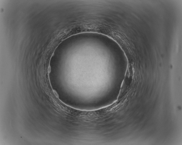 X0000086280817200703291459