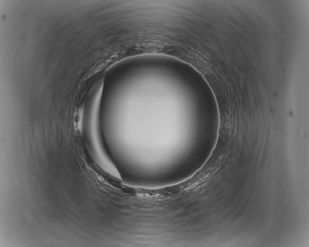 X0000086280818200703291459