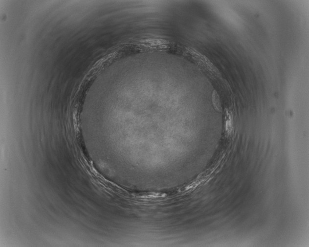 X0000086280819200703291459