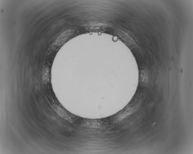 X0000086280820200703291459