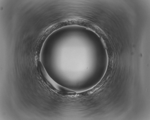 X0000086280822200703291459