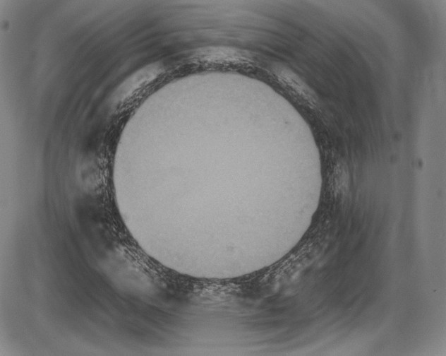 X0000086280824200703291459