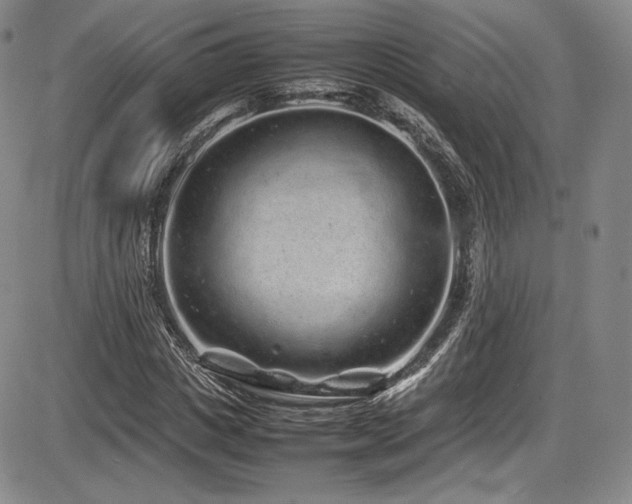 X0000086280825200703291459