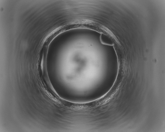 X0000086280826200703291459