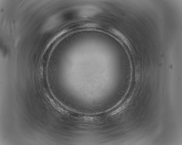 X0000086280827200703291459