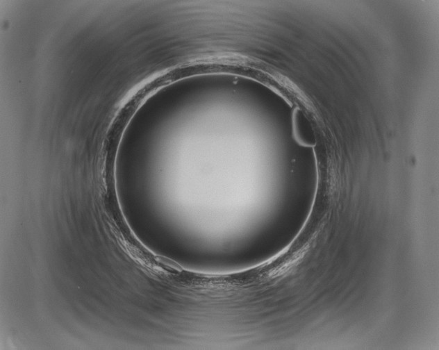 X0000086280830200703291459