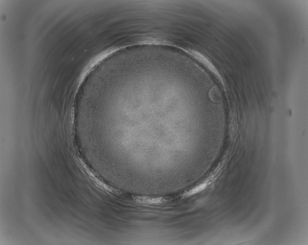 X0000086280831200703291459