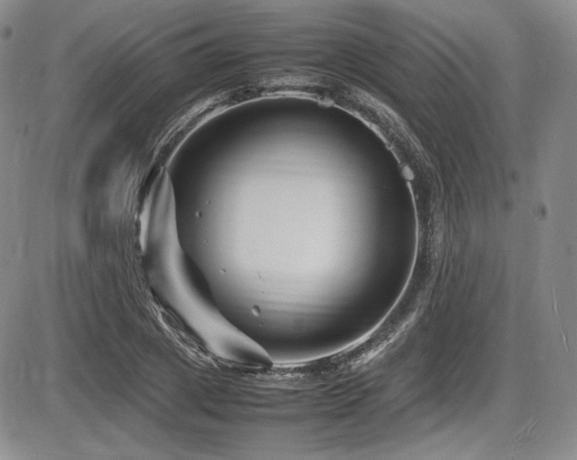 X0000086280833200703291459
