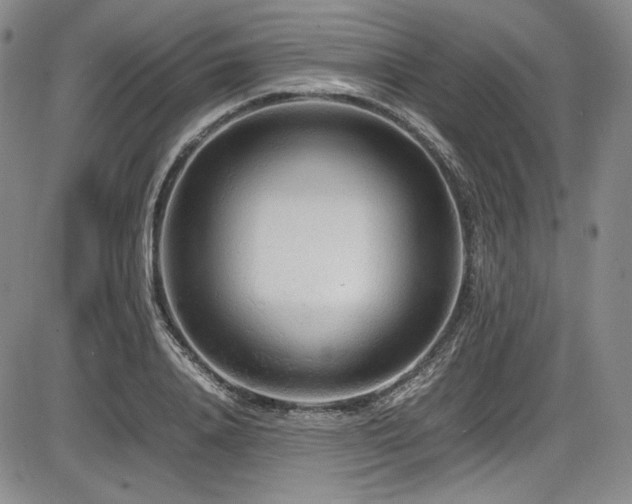 X0000086280840200703291459
