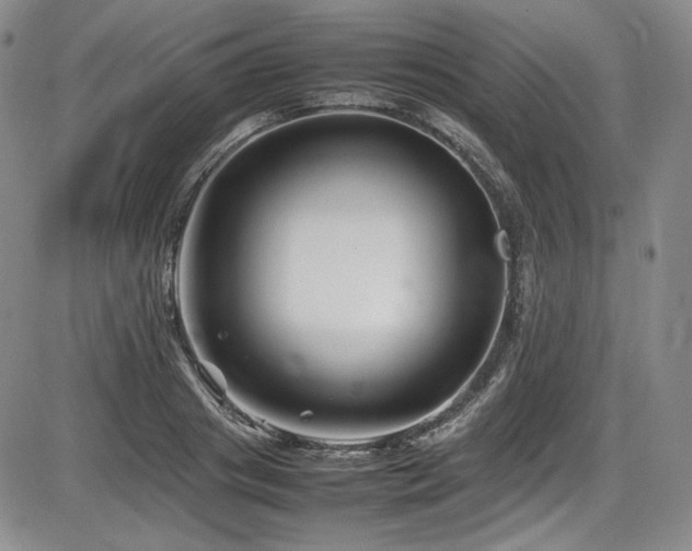 X0000086280841200703291459