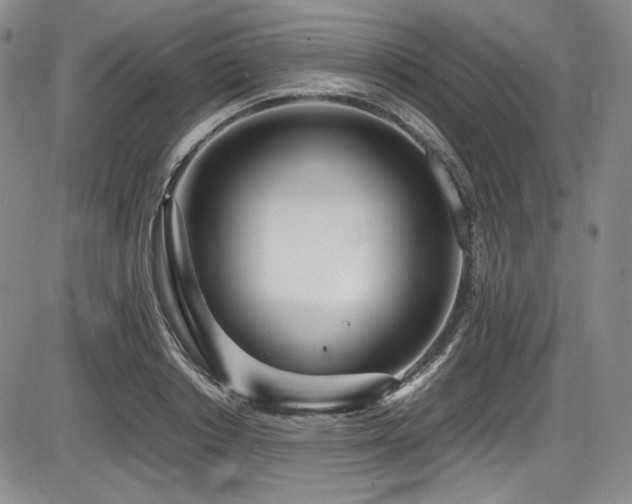 X0000086280842200703291459