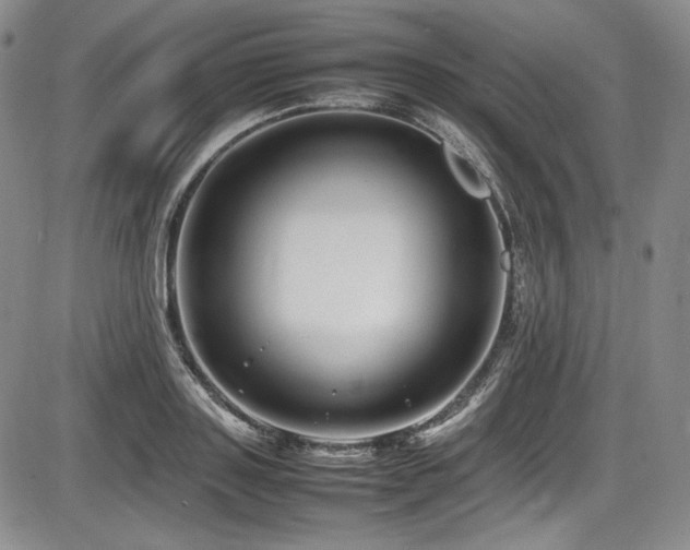 X0000086280843200703291459
