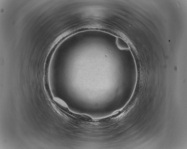 X0000086280845200703291459