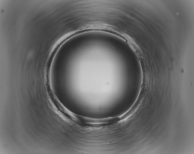 X0000086280846200703291459