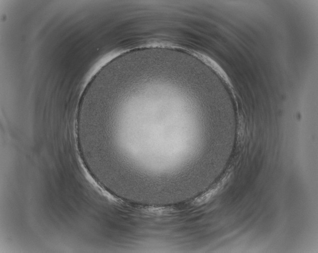 X0000086280847200703291459