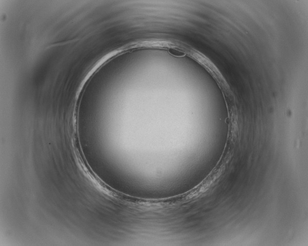 X0000086280852200703291459