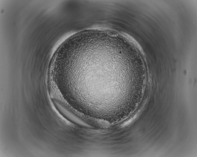 X0000086280855200703291459