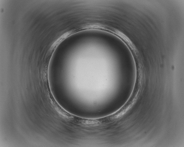 X0000086280857200703291459
